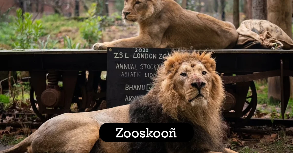 Zooskooñ